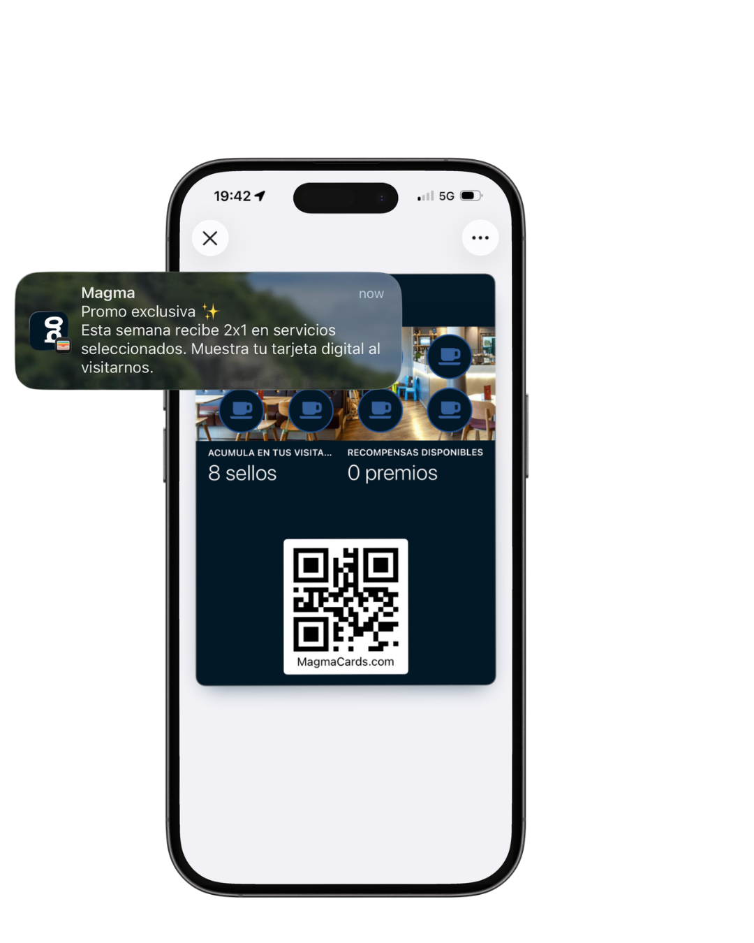 Notificación promo exclusiva